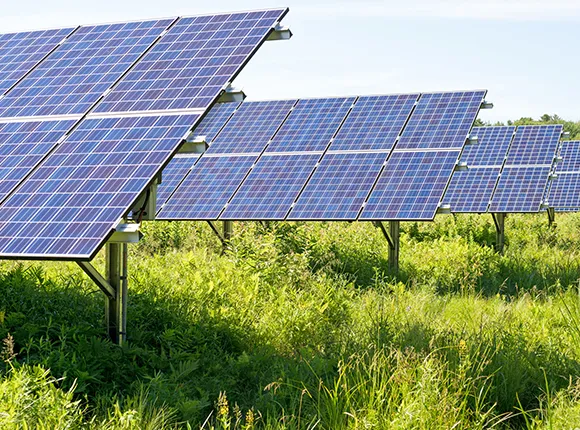 Row of solar panels installed on grass field under blue sky in Fort Myers, FL.