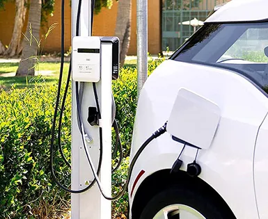Electric vehicle charging stations in a parking lot with green grass, trees, and parked cars in the background.